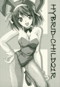 (Konai to Shikei dakara) [SILMARIL (Ayakaze Ryuushou)] HYBRID CHILD 21R (The Melancholy of Haruhi Suzumiya)