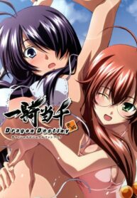 [TORANOANA] Ikkitousen Dragon Destiny Offical Visual Fan Book