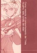 (CR35) [St. Armadel Ch. (Kagetora, Shoryutei Enraku)] Corsa violenta di comportamento del Triela naughty della sorella del elder (Gunslinger Girl)