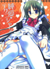 (C72) [Kokikko (Sesena Yau)] Junai Technician (Hayate no Gotoku!)
