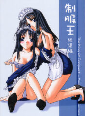 (C58) [Digital Lover (Nakajima Yuka)] Seifukuou Soushuuhen (Various)