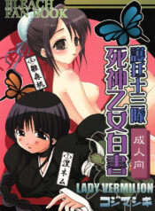 [Kojimashiki, Lady Vermilion (Hanamatsuri Mamiko, Kojima Aya)] Gotei Juusantai Shinigami Otome Hakusho (Bleach)