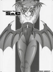 (SC31) [Youkai Tamanokoshi (CHIRO)] S&C -LiLith- (Darkstalkers, Street Fighter)