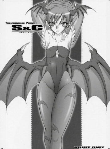 (SC31) [Youkai Tamanokoshi (CHIRO)] S&C -LiLith- (Darkstalkers, Street Fighter)
