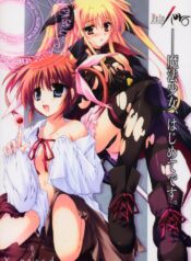 (C72) [Aruku Denpatou no Kai (Kimura Shuuichi)] Fate/ero (Mahou Shoujo Lyrical Nanoha)