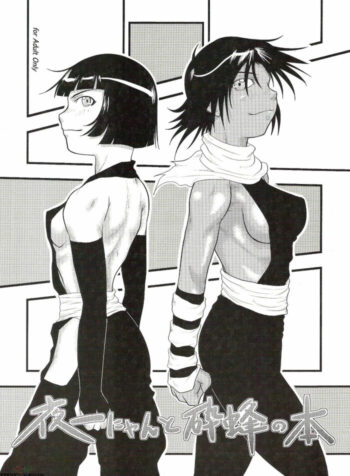 [Great.Dadan (Seijirou Kagechika)] Yoruichi Nyan to Soi Fon no Hon (Bleach) [English] [SaHa]