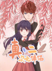 2D Partner