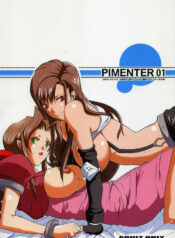(C68) [Youkai Tamanokoshi (CHIRO)] PIMENTER (Final Fantasy VII)