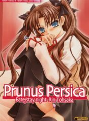 (C73) [Yakan Honpo & Yakan Hikou (Inoue Tommy)] Prunus Persica (Fate/stay night)