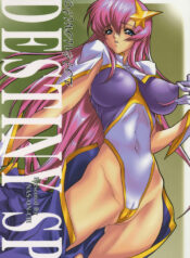 [NAS-ON-CH (NAS-O)] Demongeot DESTINY SP (Gundam SEED DESTINY)
