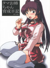 (C68) [Salvage Kouboh (Houou-tan)] Tama Onee-chan Ikusei Nikki (ToHeart2)
