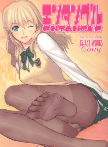 (C71) [T2 ART WORKS (Tony)] Entangle (Zegapain) [English]
