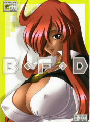 (C73) [Bousou!! Fuhatsudan (Takai Biki)] B.F.D 06 (Zero no Tsukaima)