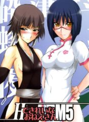 (C67) [BlueMage (Aoi Manabu)] H de Kirei na Onee-san M5 (Busou Renkin)