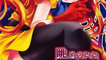 (SC38) [Cotojikan (Cotoji)] Nagame no ii Sora (Dragon Quest IV)