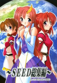(C69) [Studio Q (Natsuka Q-Ya)] SEED Soushuuhen (Gundam SEED DESTINY)