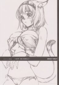 (C70) [Akai Tsubasa (Tachibana Chata)] Bibiki-wan ni ikimashita (Final Fantasy XI)