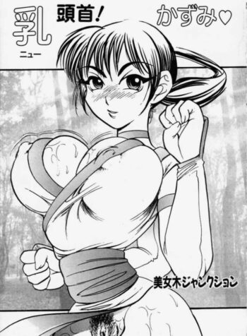 [Bijogi Junction] Nyuutou Kubi! Kasumi (Dead or Alive)