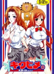 (Kyonyuukko 4) [Neko to Hato (Hatoya Mameshichi)] Kiku Hime. (BLEACH)