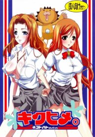 (Kyonyuukko 4) [Neko to Hato (Hatoya Mameshichi)] Kiku Hime. (BLEACH)