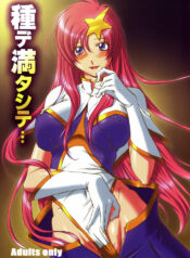 (C69) [Chaotic Arts (Mita Kurumi)] Tane de Mitashite… (Gundam Seed Destiny)
