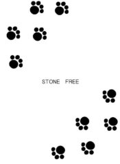 (CR33) [BLACK DOG (Kuroinu Juu)] STONE FREE (Jarinko Chie) [English]