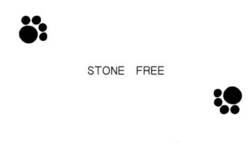 (CR33) [BLACK DOG (Kuroinu Juu)] STONE FREE (Jarinko Chie) [English]
