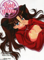 [Shimoyakedou (Ouma Tokiichi)] Red Plum (Fate/stay night) [English] [SaHa]