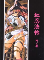 (C65) [Circle Taihei-Tengoku (Horikawa Gorou)] Beni Ninpouchou Chi no Kan