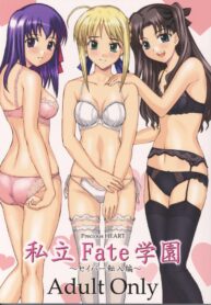 [Precious HEART] Shiritsu Fate Gakuen ~Saber Tennyuuhen~ (Fate/stay night)