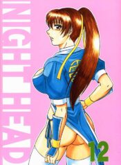 (C59) [Circle Taihei-Tengoku (Aratamaru)] NIGHT HEAD 12 (Dead or Alive)
