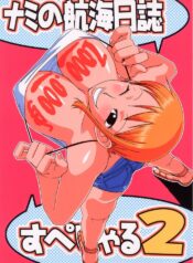 (C67) [ACID-HEAD (Misutake, Murata.)] Nami no Koukai Nisshi Special 2 (One Piece)