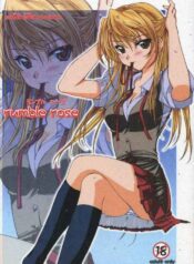(C68) [POP-WORD (Iwatobi Penta, Nekogami Kajin)] rumble rose (School Rumble)