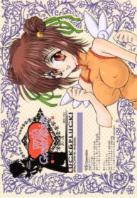 (C60) [LUCK&PLUCK!Co. (Amanomiya Haruka)] Wild Generation (Sister Princess)
