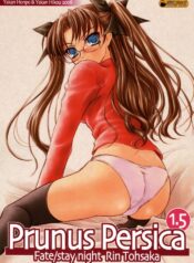 (COMIC1☆2) [Yakan Honpo, Yakan Hikou (Inoue Tommy)] Prunus Persica 1.5 (Fate/stay night)