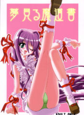 (C67) [Akai Suzume (Suzaku)] YUMEMIRUMADOUSYO (Demonbane)