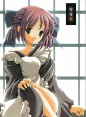 (MOON PHASE) [VISTA (Odawara Hakone)] Setsugekka (Tsukihime)