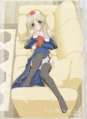 (C65) [Digital Lover (Nakajima Yuka)] D.L. Action 22 (Ragnarok Online)