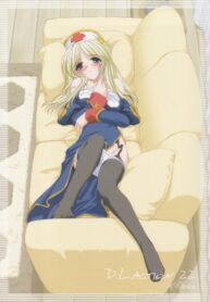 (C65) [Digital Lover (Nakajima Yuka)] D.L. Action 22 (Ragnarok Online)
