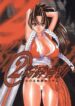 (C55) [Nobita Jimetsu System (Hattori Chihiro, Himikado Ryuuki)] Funsai Kossetsu 2 (The King of Fighters)