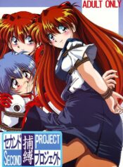(CR36) [Thirty Saver Street 2D Shooting (Maki Hideto, Sawara Kazumitsu)] Second Hobaku Project (Neon Genesis Evangelion) [English]