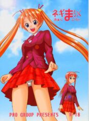 (C65) [PNO Group (Hase Yuu, Hikawa Yuuki)] Negima Chick Factory (Mahou Sensei Negima!)