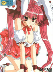 [Bousou!! Fuhatsu-dan (Takai Biki)] BOOB III (Di Gi Charat)