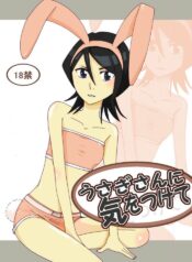 [Kazt] Usagi-san ni Ki o Tsukete (Bleach)