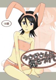 [Kazt] Usagi-san ni Ki o Tsukete (Bleach)