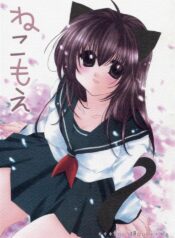 [Sakurakan (Seriou Sakura)] Neko Moe (Inuyasha)