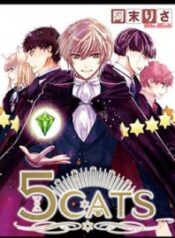 5 Cats