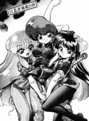(C70) [… Mou Ii Desu. (Jinmu Hirohito)] Kyouki Junbi Shuugouzai | Boisterous Arranged Meeting (Ranma 1/2) [English] [SaHa]