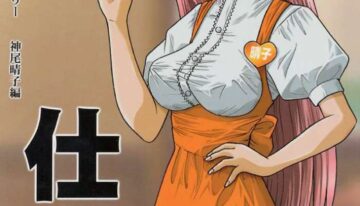 (CR29) [Soul Company] Shigoto. (Air)