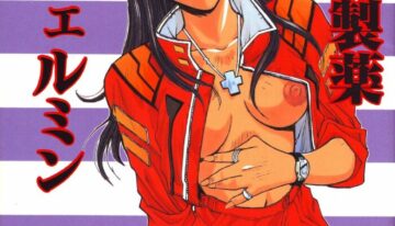 (C53) [Studio Kouroumu (Katase Shou)] Katase Seiyaku Ebaferumin (Neon Genesis Evangelion)
